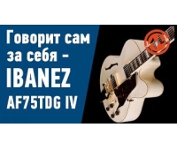 Полуакустическая гитара IBANEZ AF75 BS