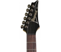 Электрогитара IBANEZ RG421-MOL