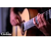 Классическая гитара CORDOBA IBERIA GK Studio Negra