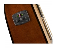 Fender FA-125CE DREAD NATURAL WN