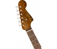 Fender MALIBU PLAYER NATURAL WN