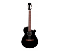 Электроакустическая гитара IBANEZ AEG50N-BKH