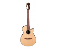 Электроакустическая гитара IBANEZ AEG50N-NT