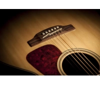 Электроакустическая гитара TAKAMINE G90 SERIES GN93CE