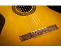 Электроакустическая гитара TAKAMINE GC1CE NAT