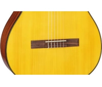 Электроакустическая гитара TAKAMINE GC3CE NAT