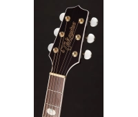 Электроакустическая гитара TAKAMINE  GN75CE TBK