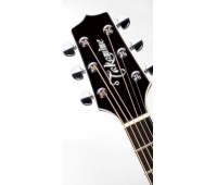 TAKAMINE LEGACY EF341SC