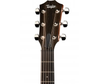 TAYLOR AMERICAN DREAM SERIES AD17e, Blacktop