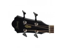 Электроакустическая бас-гитара IBANEZ AEB8E Black