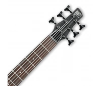 6-струнная бас-гитара IBANEZ SR306EB-WK
