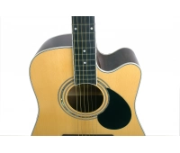 Акустическая гитара с вырезом GREG BENNETT GD100SC/N