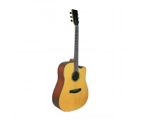 Акустическая гитара BEAUMONT DG142C