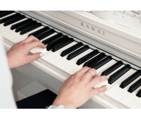 KAWAI CN201 W