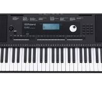 ROLAND E-X20