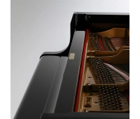 KAWAI GL-50 M/PEP