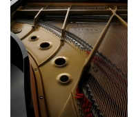 KAWAI GL-50 M/PEP