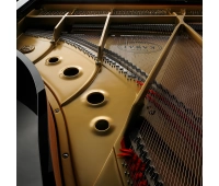 KAWAI GL-40 M/PEP