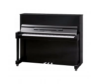 KAWAI ND-21 M/PEP