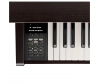 KAWAI CN39B