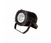 INVOLIGHT COBPAR100TW