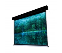 Экран моторизированный Antis Pro Viewscreen ANP-16904