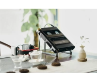 Модульный стационарный плеер Shanling M30 Desktop Player