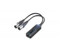 Конвертер Infobit iTrans DX2-R-22