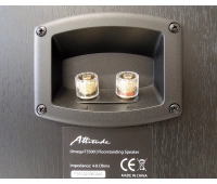 Акустическая система напольная Attitude Omega F3500