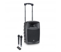 LD SYSTEMS ROADBUDDY 10 HHD 2 B6