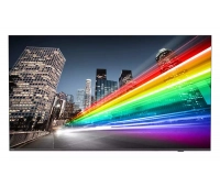 Коммерческий телевизор Philips 55BFL2214/12