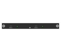 Карта входа HDMI 4K60 Digibird DB-VWC2-HP-IC-4K60HDMI1