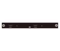 Карта выхода HDMI 4K60 Digibird DB-VWC2-HP-OC-J4K60HDMI2 *