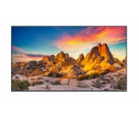 Профессиональный дисплей Panasonic TH-98SQE1W_EURO