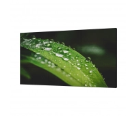 Профессиональный дисплей для видеостен Dahua DHI-LS460UDM-UF