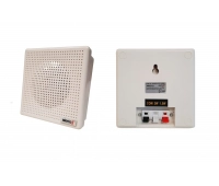 Громкоговоритель настенный Alerto AWS-03