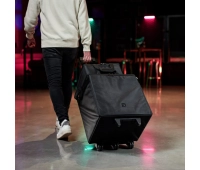 Комплект аксессуаров LD SYSTEMS LDD10G4XBAGSET