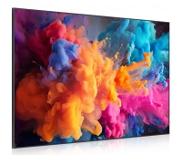 Отдельностоящая ЖК апнель Exell EXPD-DA65AM5