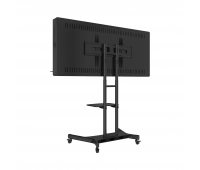 Интерактивная панель с документ-камерой AxeTech Horizon Scan 55