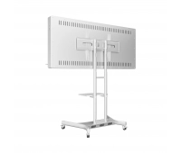 Интерактивная панель с документ-камерой AxeTech Horizon Scan 55