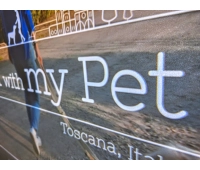 Проектор для домашних развлечений Classic Solution CS-E10