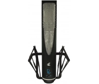 sE Electronics RNR1