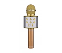 Беспроводной микрофон FunAudio G-800 Gold