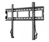 SANUS VuePoint F55