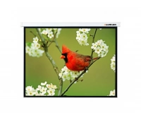 Экран настенный Master Picture Lumien LMP-100118