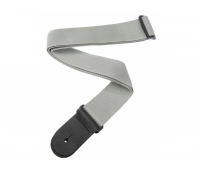 Planet Waves PWS105