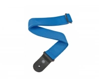Planet Waves PWS102