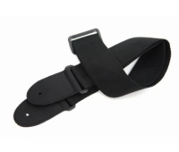 Planet Waves PWS100