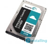 Seagate ST2000NM0055
