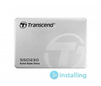 Transcend TS256GSSD230S